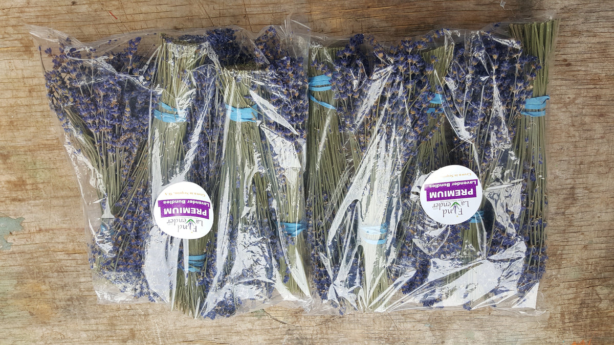 Small Dried Lavender Bundles