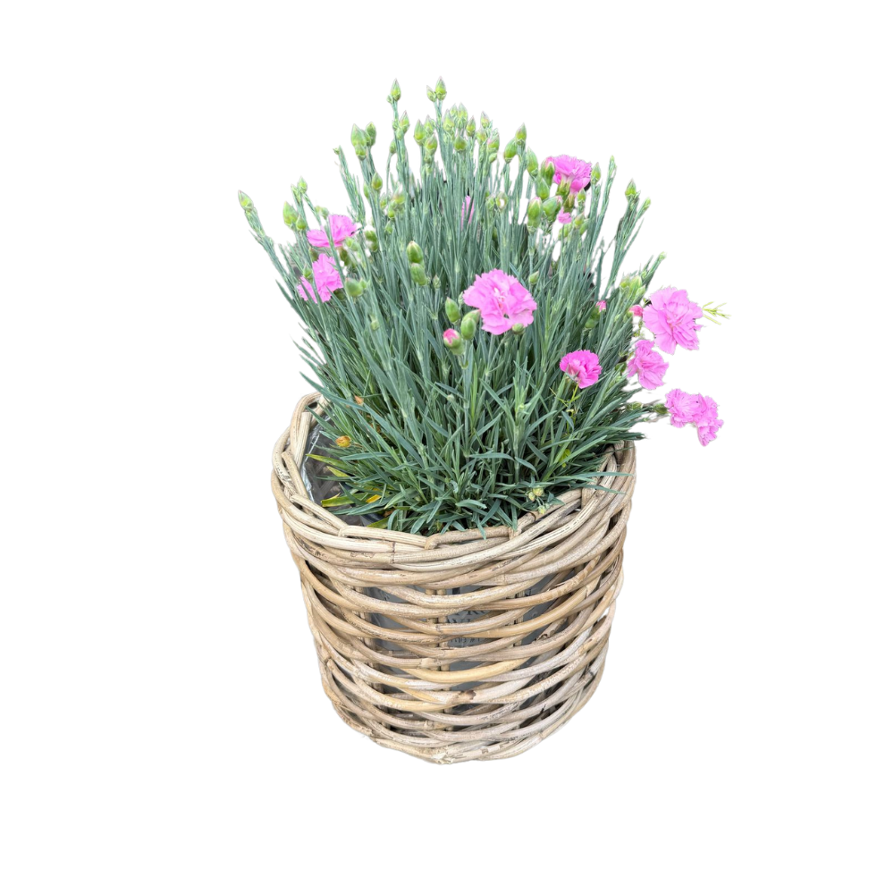 Handwoven Rattan Planter Basket