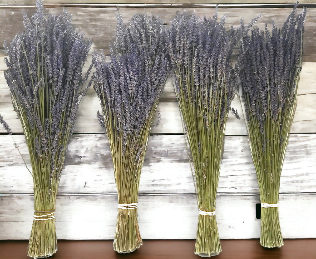 Long-Stem Dried Lavender Bundles — 3 Bundles
