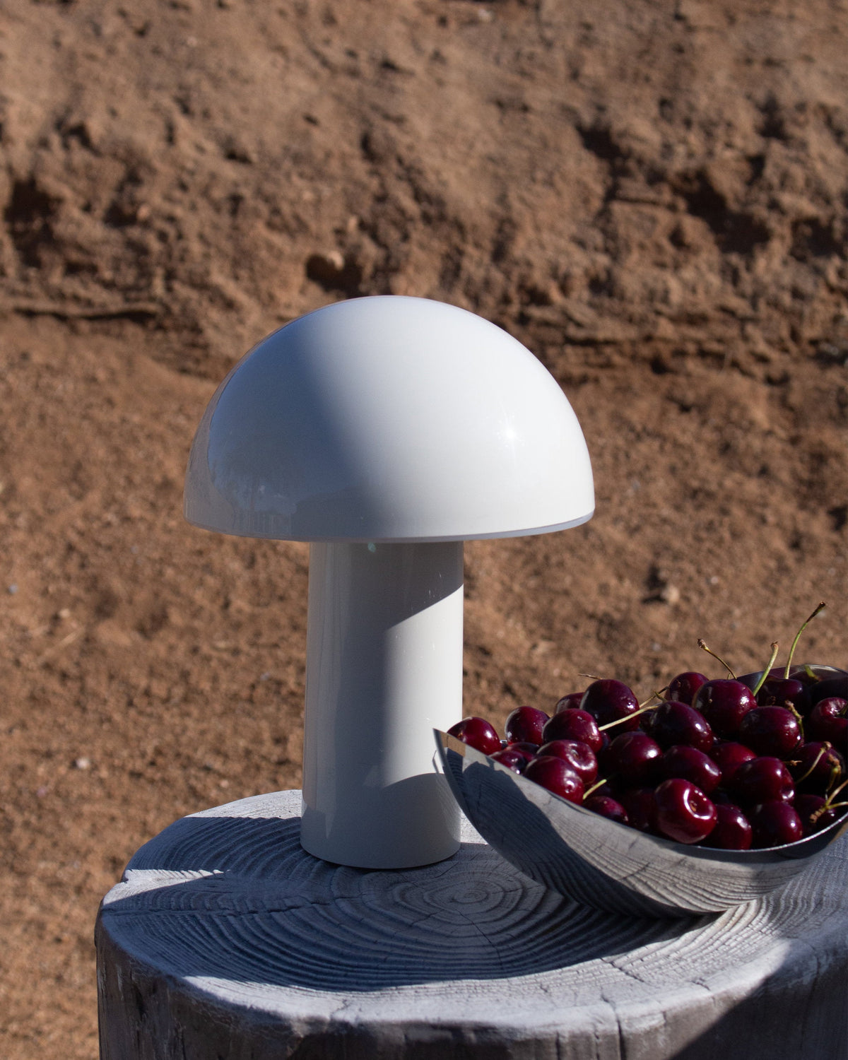 Celia Cordless Mushroom Lamp