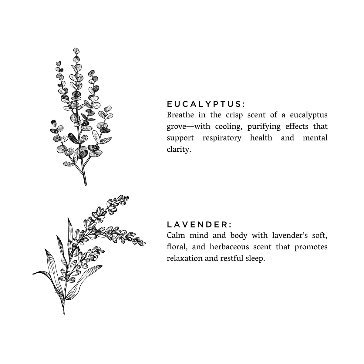 Slow North Laundry Powder — Eucalyptus & Lavender