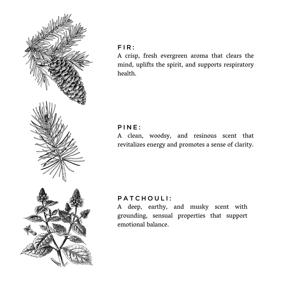 Forest Bathing Three-Wick Soy Candle