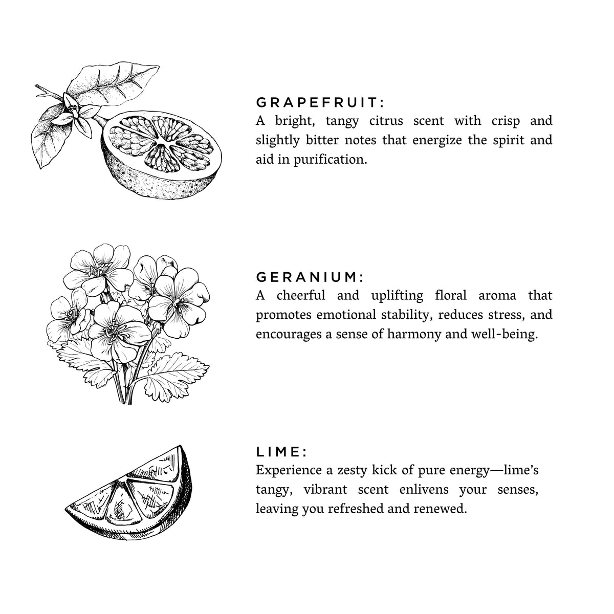 Slow North Laundry Powder — Hello Sunshine