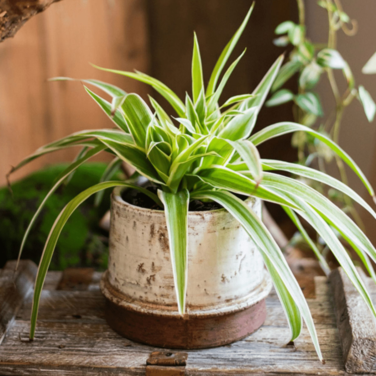 Restoration Textured Ceramic Vase