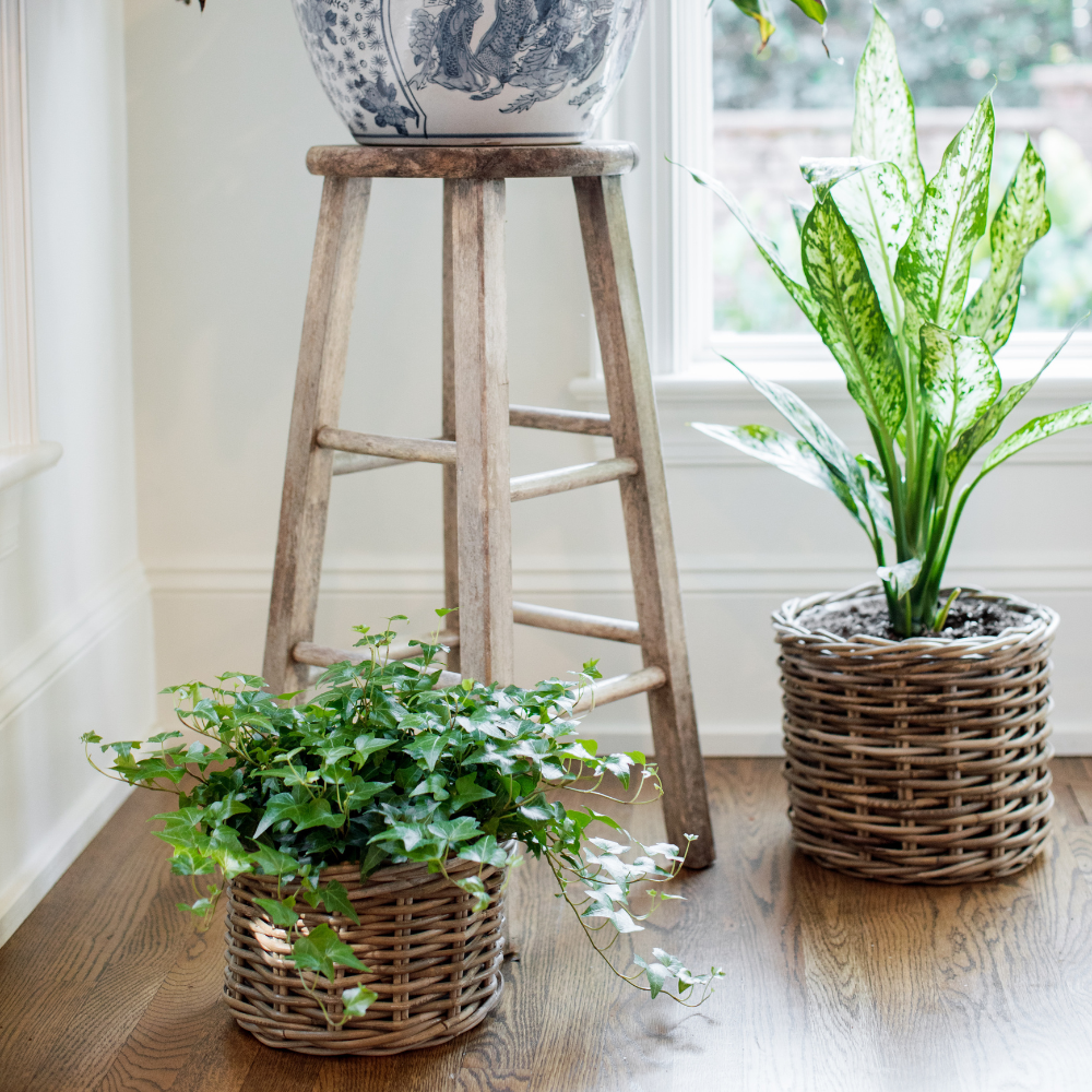 Handwoven Rattan Planter Basket