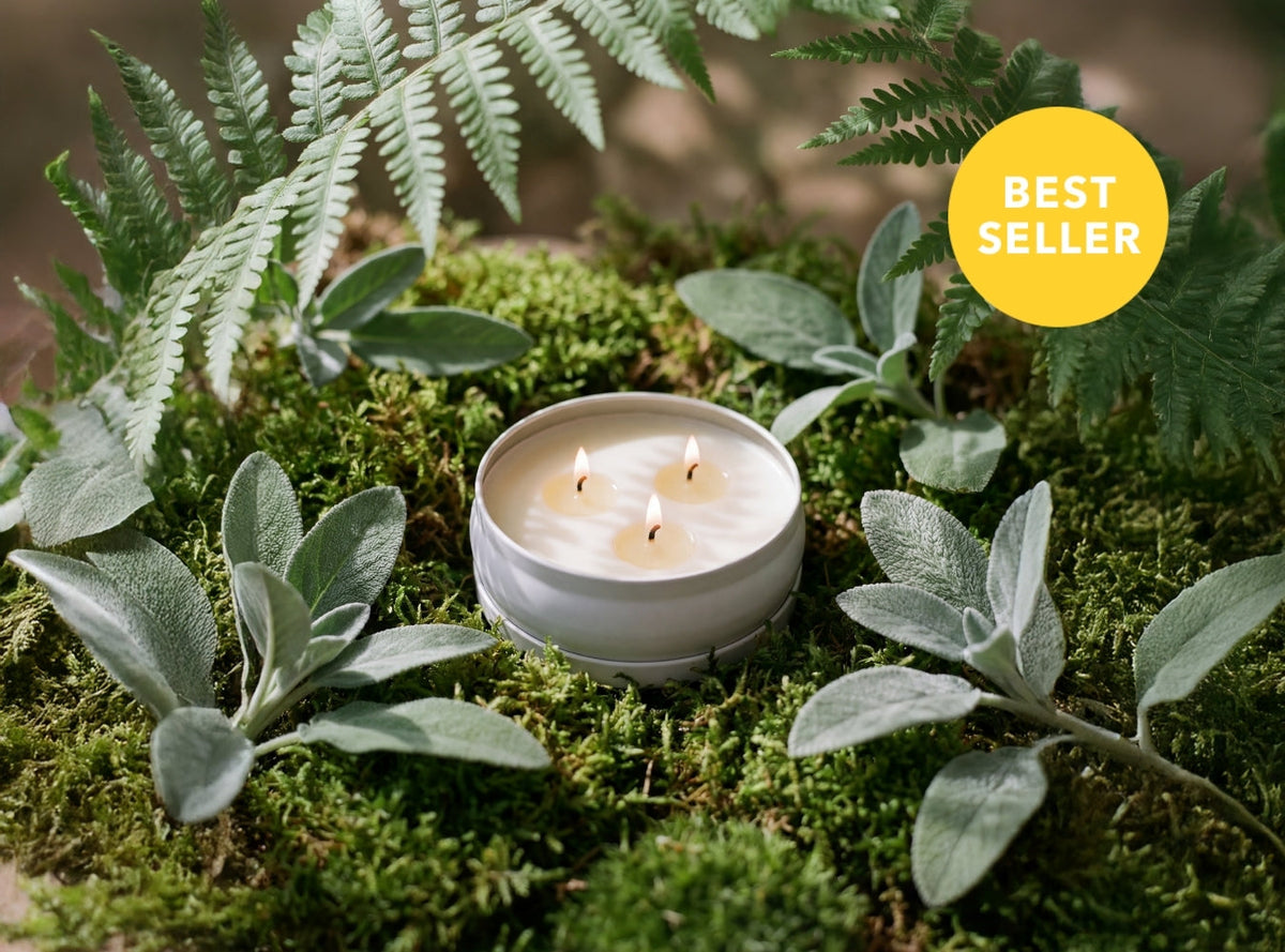 Woodland Sage Three-Wick Candle