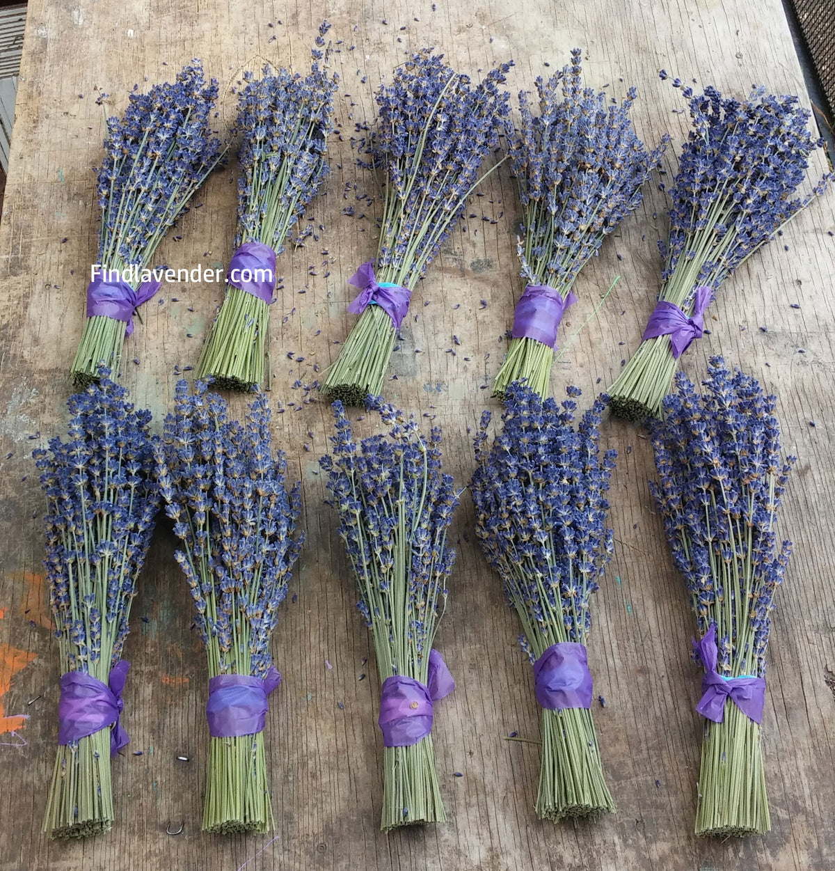 Small Dried Lavender Bundles